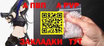 шишки Заволжье