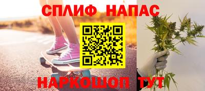 гидропоника Будённовск