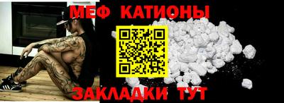 шишки Заволжье