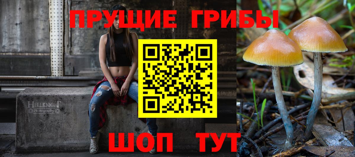 Камень-на-Оби  Галлюциногенные грибы прущие грибы  Вход с VPN 