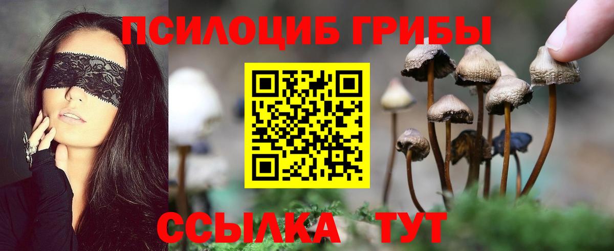 Галлюциногенные грибы ЛСД  Камень-на-Оби  Галлюциногенные грибы прущие грибы 