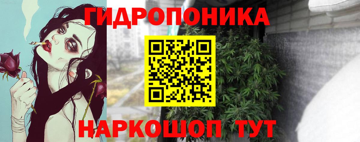 Бошки Шишки THC 21%  Бошки Шишки OG Kush  Камень-на-Оби  Конопля Bruce Banner  Бошки Шишки планчик 